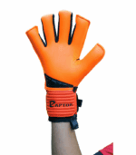 ELEMENT FOGO 2025 - Imagem 2