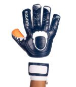 CAPAÇA 2.0 BLUE RAPTOR