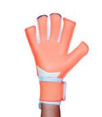 CAPAÇA PRO RAPTOR - Imagem 2