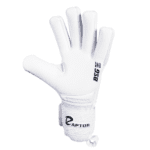 Start Pro 2026 Negative - Imagem 2