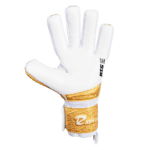 Start Pro 2026 Negative Gold Edition - Imagem 2