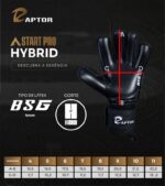 Start Pro 2026 Hybrid - Imagem 8