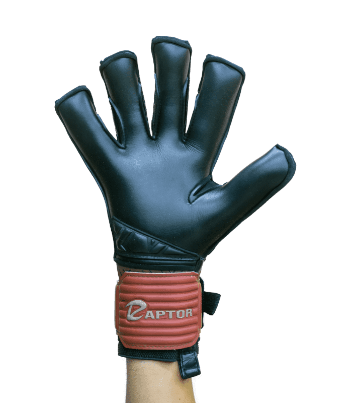 ELEMENT TERRA 2025 – Luvas Raptor